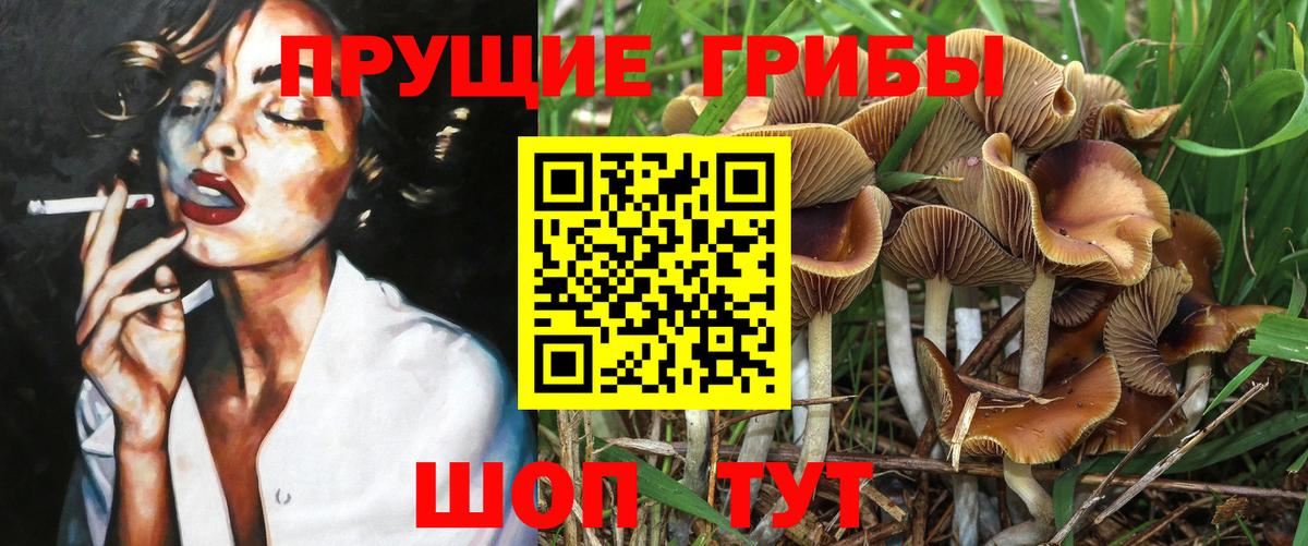 Галлюциногенные грибы MAGIC MUSHROOMS  Вход с VPN  Новошахтинск 